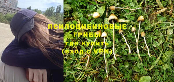 соль курить ск Бородино