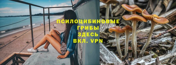 соль курить ск Бородино